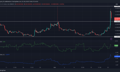 비트코인을 필두로 PEPE, SHIB, DOGE가 31%, 3%, 8% 상승
