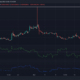 비트코인을 필두로 PEPE, SHIB, DOGE가 31%, 3%, 8% 상승
