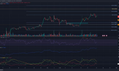 TRON은 10월 초 최고점으로 돌아왔고 황소는 돌파할 준비가 되어 있습니다.