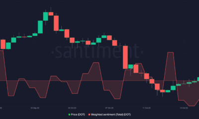 DOT 가격 조치 및 Polkadot 가중치 감정