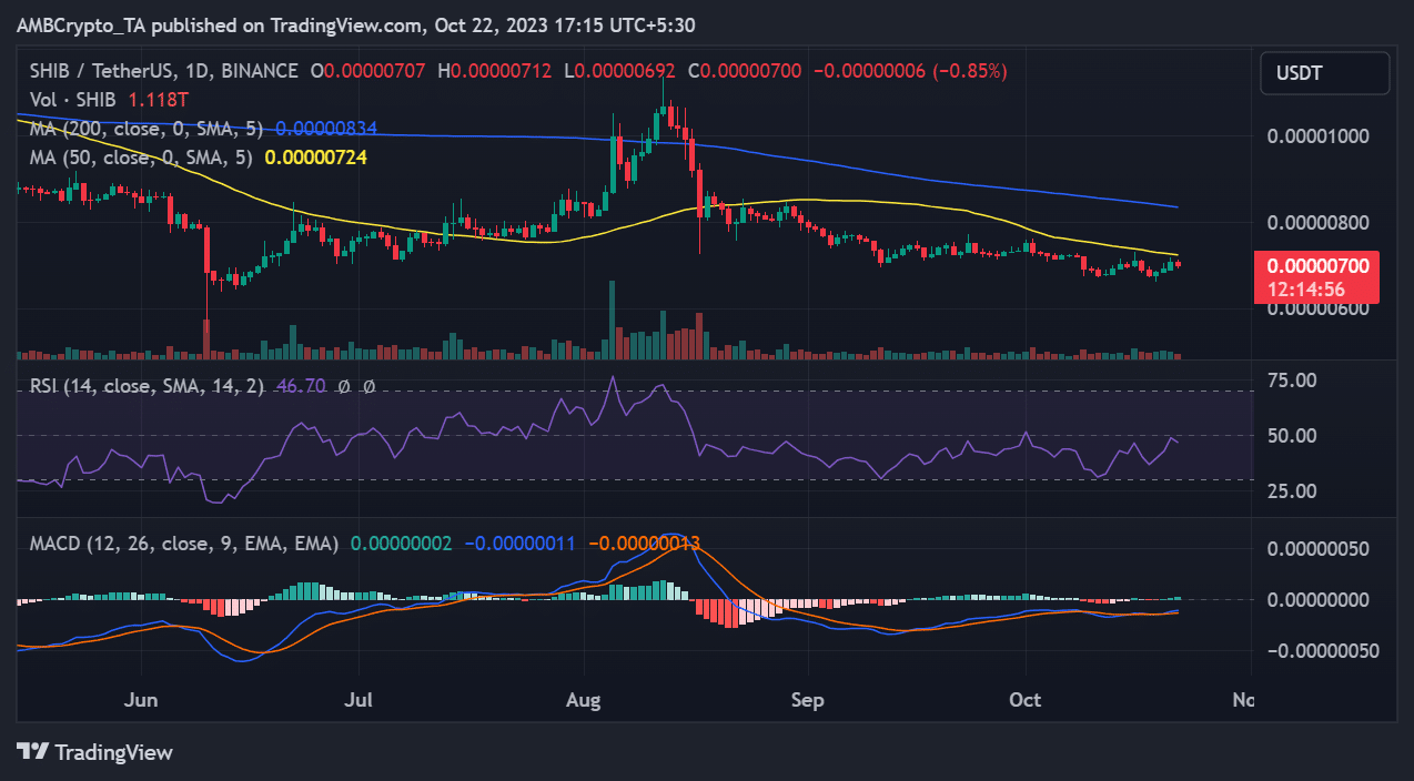 시바견/USD 가격 변동