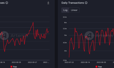 TRON 프로토콜에 대한 좋은 소식이 TRX에 정말 좋은 소식인가요?