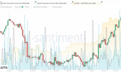 Chainlink CCIP는 Binance와 통합됩니다: LINK의 응답 평가