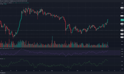 모네로 XMR 가격 차트
