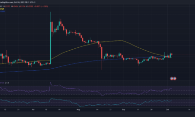 XRP 가격 조치