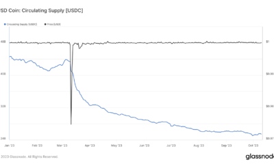 Circle이 Polygon에서 USDC를 출시합니다. 스테이블코인에 도움이 될까요?