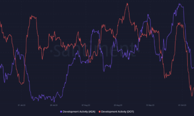 Cardano 및 Polkadot 개발 활동