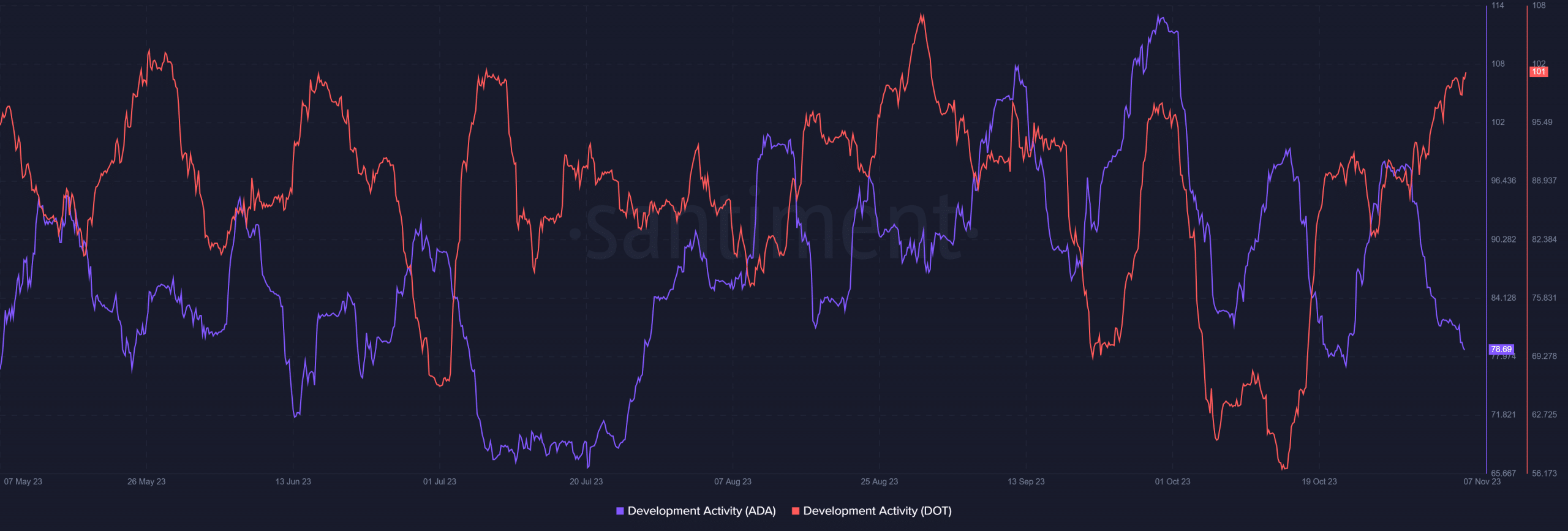 Cardano 및 Polkadot 개발 활동