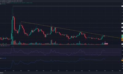 Dogecoin 상승세는 이러한 요인으로 인해 0.08달러까지 상승할 수 있습니다.