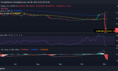 SafeMoon 가격 변동