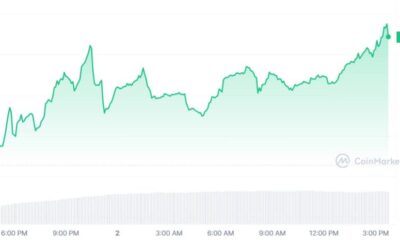 Floki Inu의 TokenFi 제안과 가격에 미치는 영향에 관한 모든 것