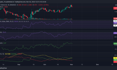 Worldcoin이 가격 폭락에도 불구하고 인기를 유지하는 이유