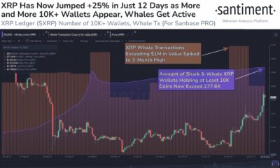 XRP는 12일 만에 +25% 상승 – 모멘텀이 계속 될까요?